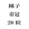 ҡ봧20γ<img class='new_mark_img2' src='https://img.shop-pro.jp/img/new/icons48.gif' style='border:none;display:inline;margin:0px;padding:0px;width:auto;' />