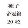 ҡ봧ӡ20γ<img class='new_mark_img2' src='https://img.shop-pro.jp/img/new/icons57.gif' style='border:none;display:inline;margin:0px;padding:0px;width:auto;' />