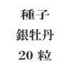 ҡ䲴ð20γ<img class='new_mark_img2' src='https://img.shop-pro.jp/img/new/icons48.gif' style='border:none;display:inline;margin:0px;padding:0px;width:auto;' />