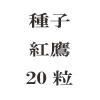 ҡ롡20γ<img class='new_mark_img2' src='https://img.shop-pro.jp/img/new/icons48.gif' style='border:none;display:inline;margin:0px;padding:0px;width:auto;' />