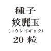 ҡ̡20γ<img class='new_mark_img2' src='https://img.shop-pro.jp/img/new/icons58.gif' style='border:none;display:inline;margin:0px;padding:0px;width:auto;' />
