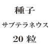 ҡ֥ƥͥ20γ<img class='new_mark_img2' src='https://img.shop-pro.jp/img/new/icons48.gif' style='border:none;display:inline;margin:0px;padding:0px;width:auto;' />