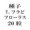 ҡT.եӥե饹20γ<img class='new_mark_img2' src='https://img.shop-pro.jp/img/new/icons48.gif' style='border:none;display:inline;margin:0px;padding:0px;width:auto;' />
