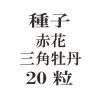 ҡֲֻѲð20γ<img class='new_mark_img2' src='https://img.shop-pro.jp/img/new/icons58.gif' style='border:none;display:inline;margin:0px;padding:0px;width:auto;' />