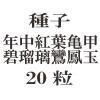ҡǯյ˱̡20γ<img class='new_mark_img2' src='https://img.shop-pro.jp/img/new/icons48.gif' style='border:none;display:inline;margin:0px;padding:0px;width:auto;' />