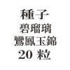 ҡ˱̶ӡ20γ