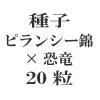 ҡԥ󥷡ӡ߶ε20γ
