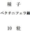 種子　ペクチニフェラ錦　10粒<img class='new_mark_img2' src='https://img.shop-pro.jp/img/new/icons48.gif' style='border:none;display:inline;margin:0px;padding:0px;width:auto;' />