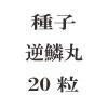 ҡڴݡ20γ<img class='new_mark_img2' src='https://img.shop-pro.jp/img/new/icons48.gif' style='border:none;display:inline;margin:0px;padding:0px;width:auto;' />