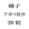 ҡٲð20γ<img class='new_mark_img2' src='https://img.shop-pro.jp/img/new/icons58.gif' style='border:none;display:inline;margin:0px;padding:0px;width:auto;' />