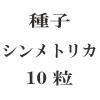 ҡȥꥫ10γ<img class='new_mark_img2' src='https://img.shop-pro.jp/img/new/icons48.gif' style='border:none;display:inline;margin:0px;padding:0px;width:auto;' />