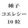 ҡ쥷10γ<img class='new_mark_img2' src='https://img.shop-pro.jp/img/new/icons48.gif' style='border:none;display:inline;margin:0px;padding:0px;width:auto;' />