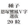 ҡ˱̡Vȴ20γ<img class='new_mark_img2' src='https://img.shop-pro.jp/img/new/icons48.gif' style='border:none;display:inline;margin:0px;padding:0px;width:auto;' />