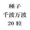 ҡȡ20γ<img class='new_mark_img2' src='https://img.shop-pro.jp/img/new/icons48.gif' style='border:none;display:inline;margin:0px;padding:0px;width:auto;' />