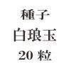 ҡ̡20γ<img class='new_mark_img2' src='https://img.shop-pro.jp/img/new/icons58.gif' style='border:none;display:inline;margin:0px;padding:0px;width:auto;' />