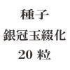 ҡ䴧ֲ20γ<img class='new_mark_img2' src='https://img.shop-pro.jp/img/new/icons57.gif' style='border:none;display:inline;margin:0px;padding:0px;width:auto;' />
