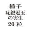 ҡ϶䴧̤μ20γ<img class='new_mark_img2' src='https://img.shop-pro.jp/img/new/icons48.gif' style='border:none;display:inline;margin:0px;padding:0px;width:auto;' />