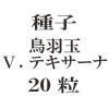 ҡĻ̡V.ƥʡ20γ<img class='new_mark_img2' src='https://img.shop-pro.jp/img/new/icons58.gif' style='border:none;display:inline;margin:0px;padding:0px;width:auto;' />