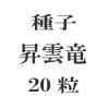 ҡε20γ