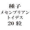 ҡ᥻֥ꥢȥǥ20γ<img class='new_mark_img2' src='https://img.shop-pro.jp/img/new/icons58.gif' style='border:none;display:inline;margin:0px;padding:0px;width:auto;' />