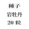 ҡ䲴ð20γ<img class='new_mark_img2' src='https://img.shop-pro.jp/img/new/icons48.gif' style='border:none;display:inline;margin:0px;padding:0px;width:auto;' />
