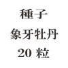 ҡݲ粴ð20γ<img class='new_mark_img2' src='https://img.shop-pro.jp/img/new/icons48.gif' style='border:none;display:inline;margin:0px;padding:0px;width:auto;' />