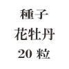 ҡֲð20γ<img class='new_mark_img2' src='https://img.shop-pro.jp/img/new/icons55.gif' style='border:none;display:inline;margin:0px;padding:0px;width:auto;' />