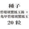 ҡ˱̶ӡߵ˱̡20γ<img class='new_mark_img2' src='https://img.shop-pro.jp/img/new/icons48.gif' style='border:none;display:inline;margin:0px;padding:0px;width:auto;' />