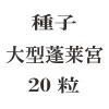 ҡ緿˩ܡ20γ<img class='new_mark_img2' src='https://img.shop-pro.jp/img/new/icons57.gif' style='border:none;display:inline;margin:0px;padding:0px;width:auto;' />