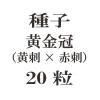 ҡⴧʲɡֻɡˡ20γ<img class='new_mark_img2' src='https://img.shop-pro.jp/img/new/icons48.gif' style='border:none;display:inline;margin:0px;padding:0px;width:auto;' />