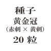 ҡⴧֻɡ߲ɡˡ20γ<img class='new_mark_img2' src='https://img.shop-pro.jp/img/new/icons48.gif' style='border:none;display:inline;margin:0px;padding:0px;width:auto;' />