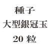 ҡ緿䴧̡20γ<img class='new_mark_img2' src='https://img.shop-pro.jp/img/new/icons58.gif' style='border:none;display:inline;margin:0px;padding:0px;width:auto;' />