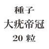 ҡ봧20γ<img class='new_mark_img2' src='https://img.shop-pro.jp/img/new/icons48.gif' style='border:none;display:inline;margin:0px;padding:0px;width:auto;' />