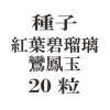ҡ˱̡20γ<img class='new_mark_img2' src='https://img.shop-pro.jp/img/new/icons48.gif' style='border:none;display:inline;margin:0px;padding:0px;width:auto;' />