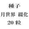 ҡֲ20γ<img class='new_mark_img2' src='https://img.shop-pro.jp/img/new/icons48.gif' style='border:none;display:inline;margin:0px;padding:0px;width:auto;' />