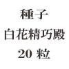 ҡ¡20γ<img class='new_mark_img2' src='https://img.shop-pro.jp/img/new/icons57.gif' style='border:none;display:inline;margin:0px;padding:0px;width:auto;' />