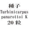 ҡTurbinicarpus panarottoi K 20γ<img class='new_mark_img2' src='https://img.shop-pro.jp/img/new/icons57.gif' style='border:none;display:inline;margin:0px;padding:0px;width:auto;' />