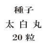 ҡݡ20γ<img class='new_mark_img2' src='https://img.shop-pro.jp/img/new/icons57.gif' style='border:none;display:inline;margin:0px;padding:0px;width:auto;' />