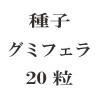 種子　グミフェラ　20粒<img class='new_mark_img2' src='https://img.shop-pro.jp/img/new/icons48.gif' style='border:none;display:inline;margin:0px;padding:0px;width:auto;' />