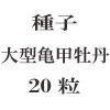 ҡ緿òð20γ<img class='new_mark_img2' src='https://img.shop-pro.jp/img/new/icons48.gif' style='border:none;display:inline;margin:0px;padding:0px;width:auto;' />