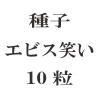 ҡӥФ10γ<img class='new_mark_img2' src='https://img.shop-pro.jp/img/new/icons57.gif' style='border:none;display:inline;margin:0px;padding:0px;width:auto;' />