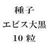 ҡӥ10γ<img class='new_mark_img2' src='https://img.shop-pro.jp/img/new/icons48.gif' style='border:none;display:inline;margin:0px;padding:0px;width:auto;' />