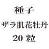 ҡȩֲð20γ<img class='new_mark_img2' src='https://img.shop-pro.jp/img/new/icons48.gif' style='border:none;display:inline;margin:0px;padding:0px;width:auto;' />