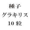 ҡ饭ꥦ10γ<img class='new_mark_img2' src='https://img.shop-pro.jp/img/new/icons57.gif' style='border:none;display:inline;margin:0px;padding:0px;width:auto;' />