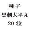 ҡʿݡ20γ<img class='new_mark_img2' src='https://img.shop-pro.jp/img/new/icons48.gif' style='border:none;display:inline;margin:0px;padding:0px;width:auto;' />