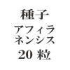 ҡեͥ󥷥20γ<img class='new_mark_img2' src='https://img.shop-pro.jp/img/new/icons48.gif' style='border:none;display:inline;margin:0px;padding:0px;width:auto;' />