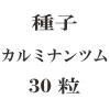 ҡߥʥĥࡡ30γ<img class='new_mark_img2' src='https://img.shop-pro.jp/img/new/icons48.gif' style='border:none;display:inline;margin:0px;padding:0px;width:auto;' />