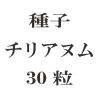 ҡꥢ̥ࡡ30γ<img class='new_mark_img2' src='https://img.shop-pro.jp/img/new/icons48.gif' style='border:none;display:inline;margin:0px;padding:0px;width:auto;' />