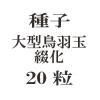 ҡ緿Ļֲ20γ<img class='new_mark_img2' src='https://img.shop-pro.jp/img/new/icons48.gif' style='border:none;display:inline;margin:0px;padding:0px;width:auto;' />