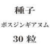ҡܥ󥮥̥ࡡ30γ<img class='new_mark_img2' src='https://img.shop-pro.jp/img/new/icons48.gif' style='border:none;display:inline;margin:0px;padding:0px;width:auto;' />